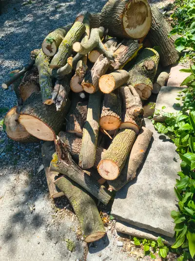 Free firewood, View more