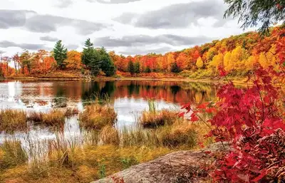 Walk & Talk (emotional support in motion), View more