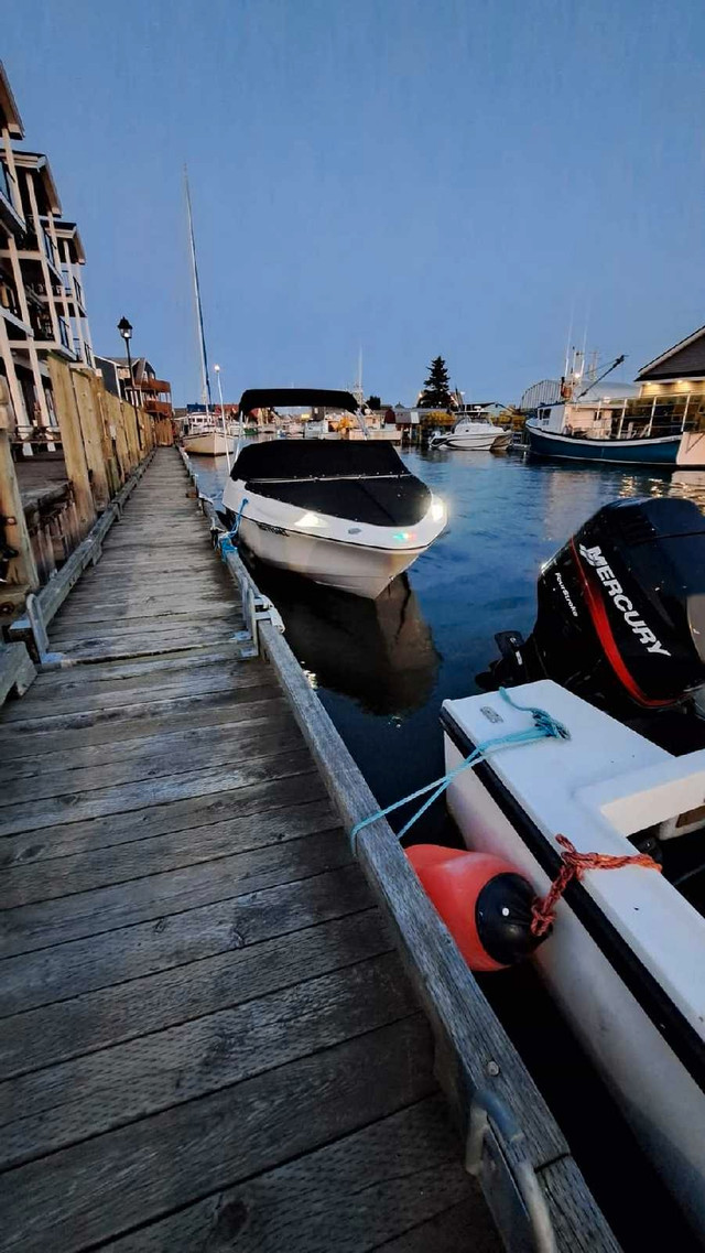 2021 campion A18 $65,000 in Powerboats & Motorboats in Cole Harbour