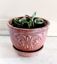 Jade and Peral Plant and Handmade Pot