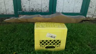 Large Sandstone for Aquarium, Terrarium, Reptile Enclosure, View more