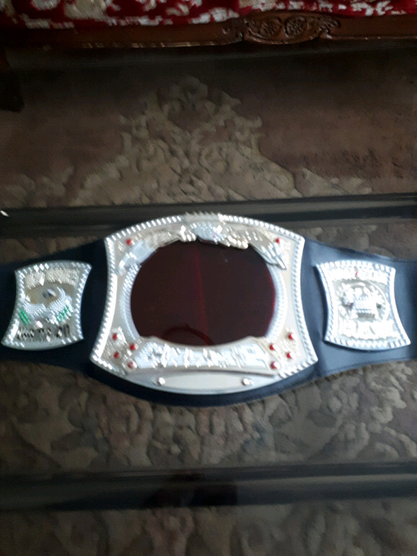 WWE Championship Title Belt Electrovision Electronic  Raw Works in Toys & Games in Oakville / Halton Region