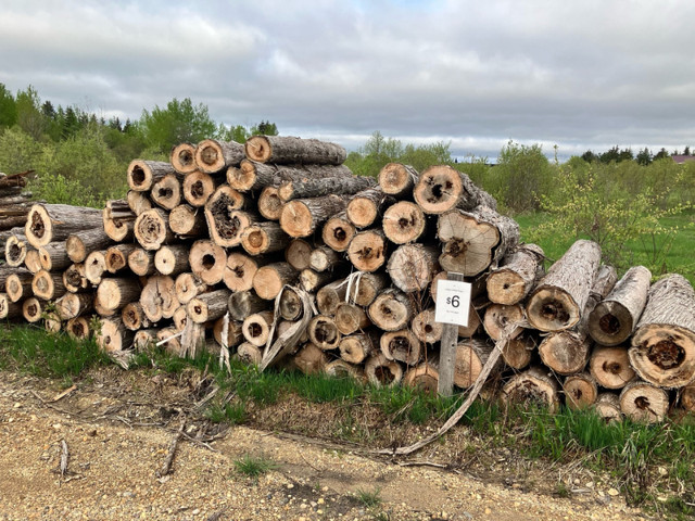 Cedar Posts For Sale in Decks & Fences in Thunder Bay - Image 4