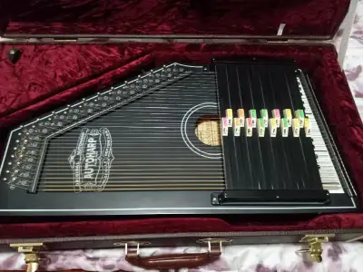 This is a nearly new autoharp that was played only a few times. I was in a rush for an open house an...
