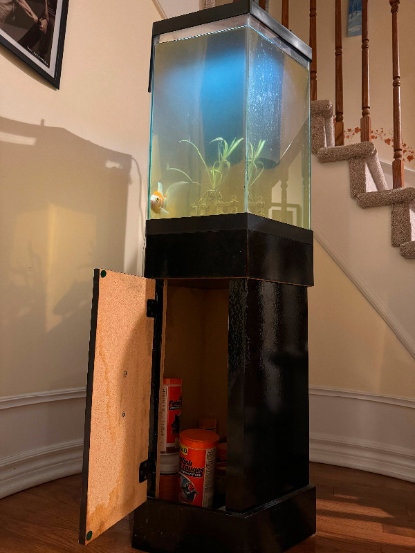 Fish tank (25 gallon)&stand& 1 fish in Accessories in Ottawa - Image 3