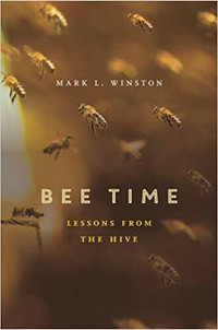 Bee Time ~ Lessons From The Hive ~ Dr Mark L. Winston
