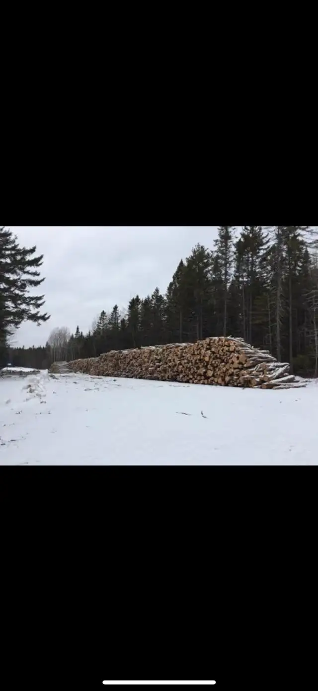 Firewood in Other in Moncton - Image 5