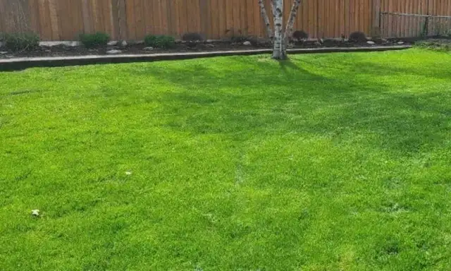 Grass cutting 502662490520954883