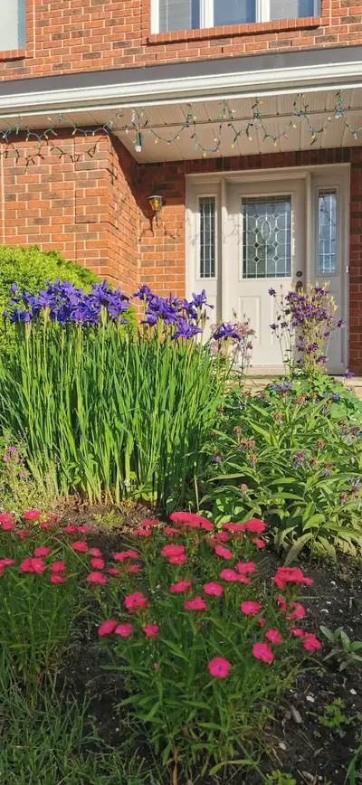 ONE SPACIOUS ROOM FOR RENT in a female only house from July 1st