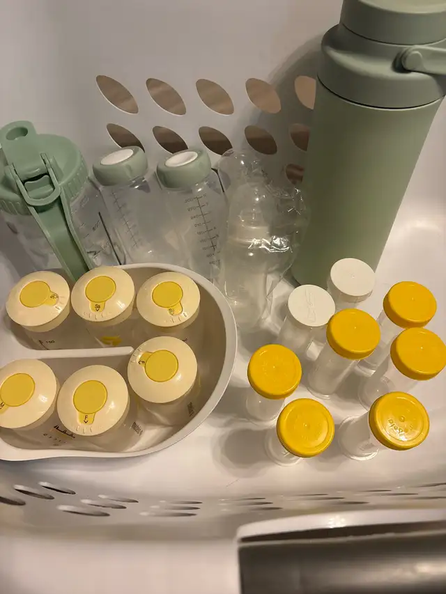 breast feeding supplies (bottles/milk container/milk thermos)