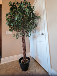 6ft Artificial Ficus Tree with Real Wood Trunk