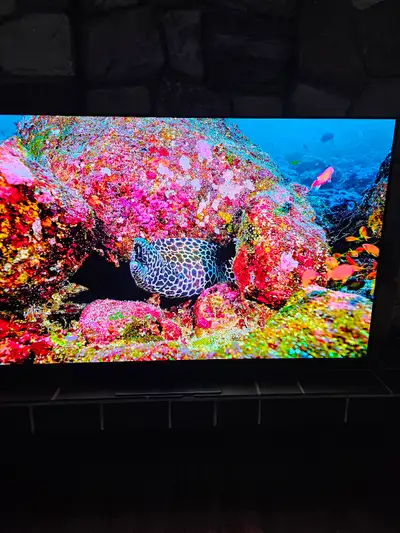 Samsung 65" OLED HDR Television, View more