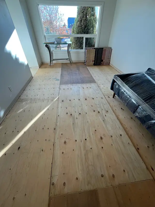 Handyman & Home Renovation Services553848912405473288