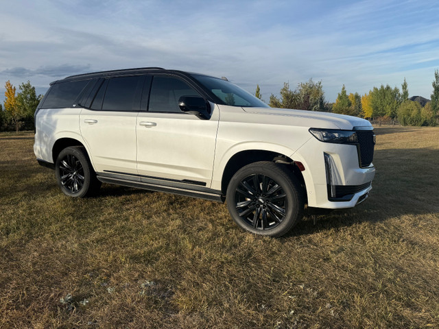 2023 Cadillac Escalade 4WD Sport - PRIVATE in Cars & Trucks in Calgary - Image 2