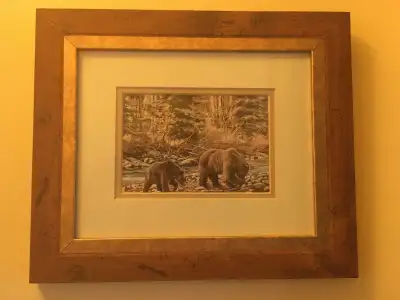Framed Print of Grizzly Bears, View more