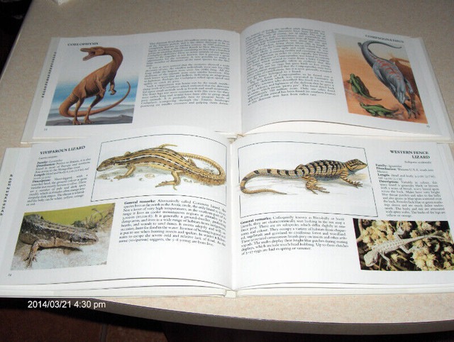 EDUCATIONAL ANIMAL BOOKS in Children & Young Adult in Port Alberni - Image 3