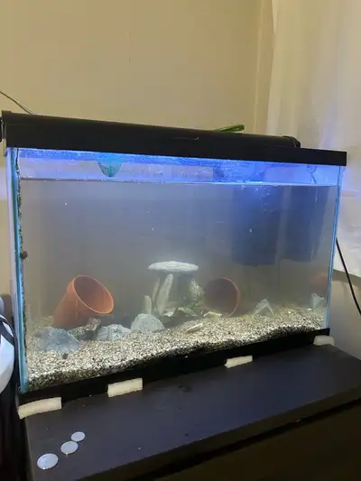 30-40 gallon fish tank, View more