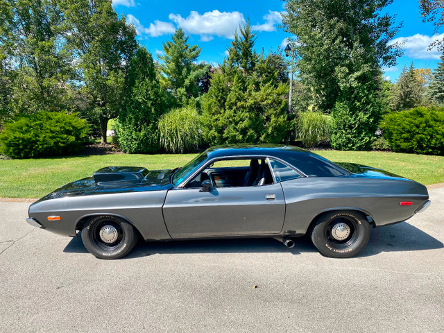 1973 Dodge Challenger in Classic Cars in City of Toronto - Image 3