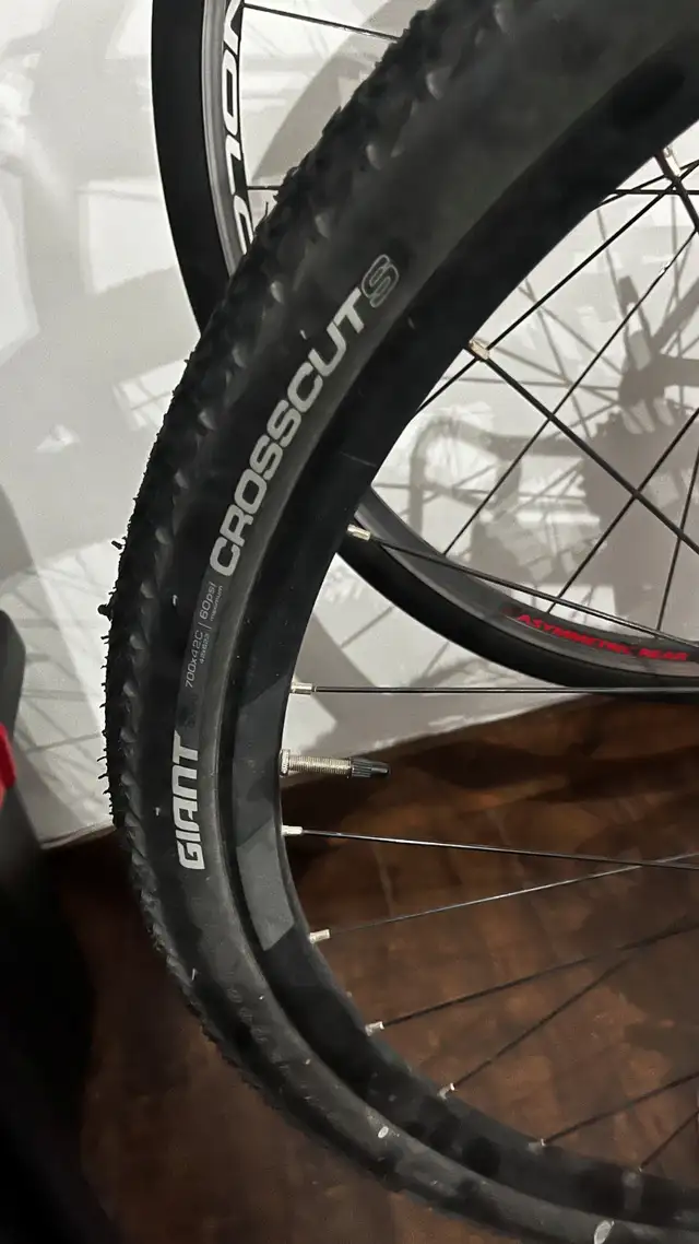 Vélo hybride Liv Rove 1 DD in Cruiser, Commuter & Hybrid in Laval / North Shore - Image 3