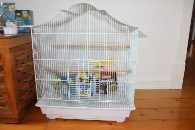 prix réduit ! 2 cages flambants neuves à vendre $ 100. chacune, View more