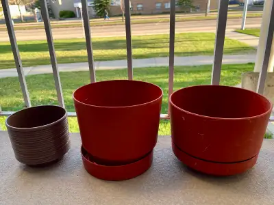 Plant Pots, View more