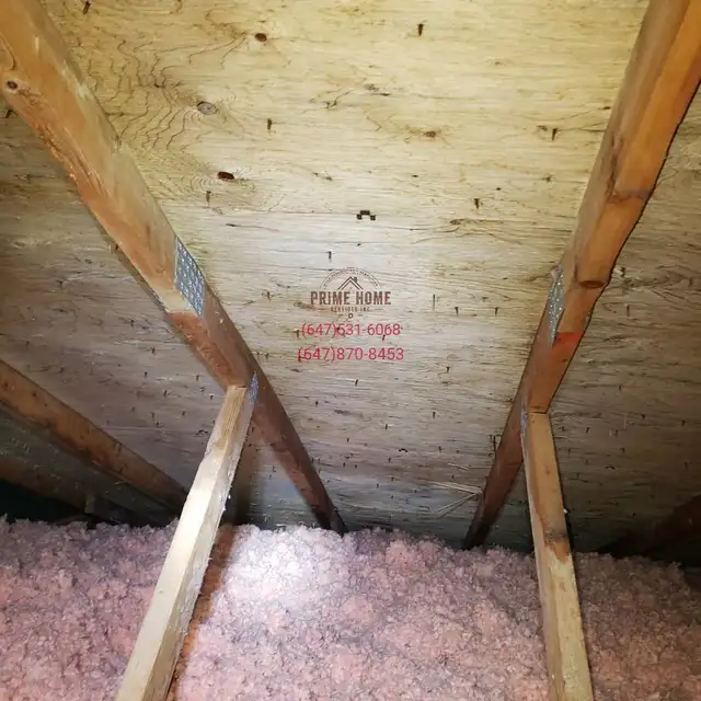 Attic Mold Remediation64959961008769121