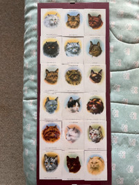 John Player cat cards