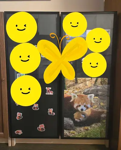 IKEA Billy with Glass door, View more