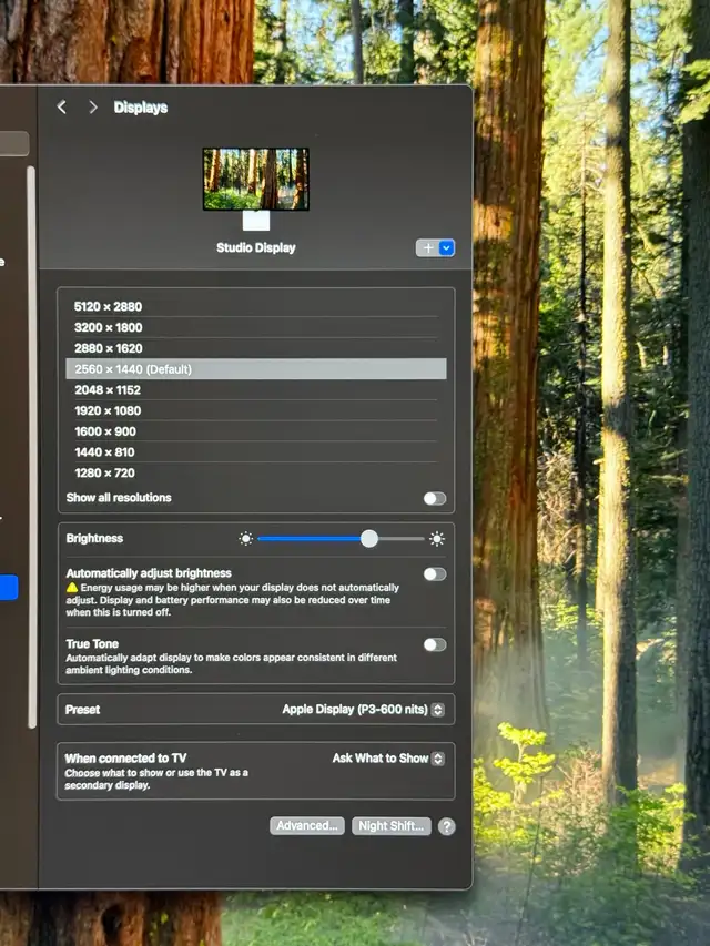 Apple Studio Display w/ VESA & Stand64540184050433121