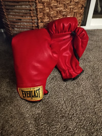 Boxing Gloves - Perfect Condition