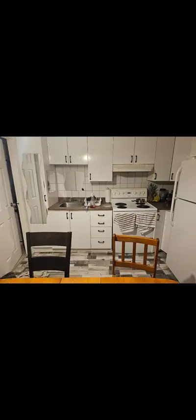 Une chambre de libre dans un appartement de 2 chambres 380$ (tout inclus) -place de stationnement en...