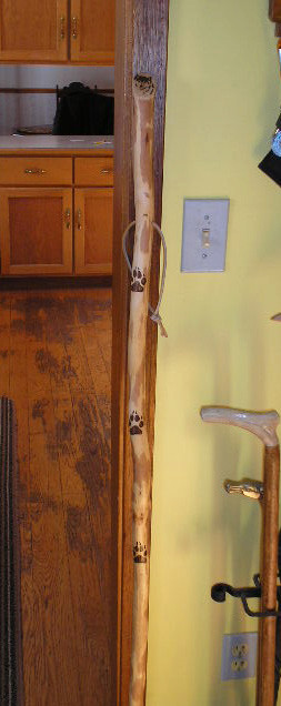 Ironwood Canes in Health & Special Needs in Renfrew - Image 4