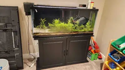 aquarium, View more