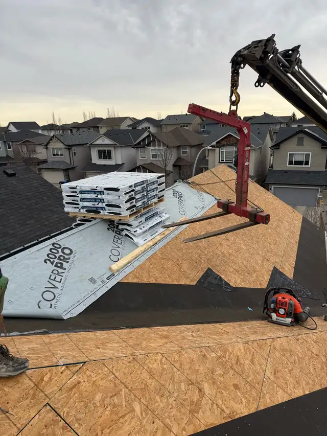 Roofing / Siding / Gutter 463696872572856323