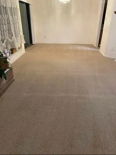 Professional Carpet Installation & Repair – Free Estimates, View more