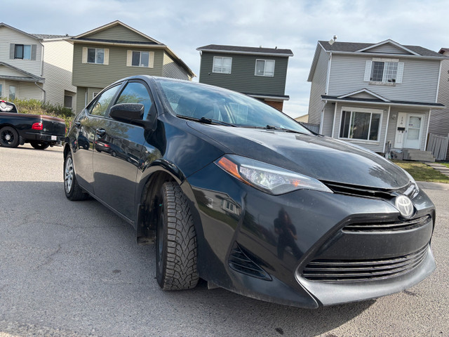 2017 Toyota Corolla Perfect Daily Car in Cars & Trucks in Calgary