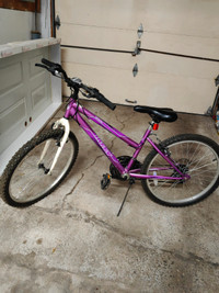 24 inch bike for sale