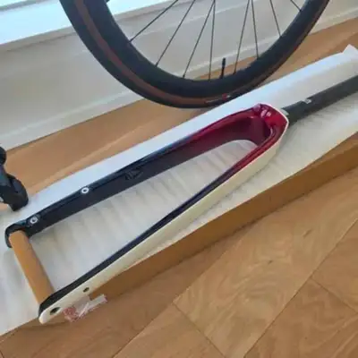 Uncut Carbon Road Bike Fork Trek Domane 2024 Era White Colour, View more