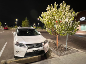 2015 Lexus RX