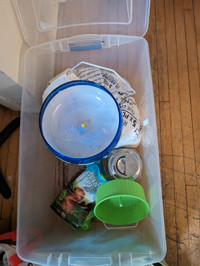 Hamster food and equipment
