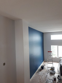 Finishing painter  with 39 Years Experience