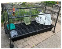 Rabbit cage with litter and accessories