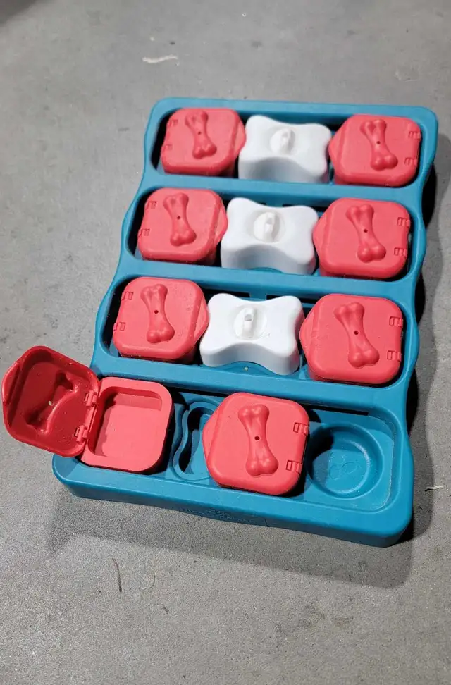 Dog Puzzle by Outward Hound in Other in Kingston - Image 2