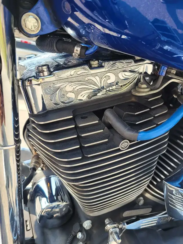 2010 Harley Davidson Softail Deluxe in Street, Cruisers & Choppers in Kitchener / Waterloo - Image 9