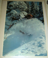 Wild Terrain Snow Factory Dahlquist #434 1977 Skiing Poster
