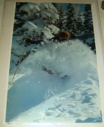 Wild Terrain Snow Factory Dahlquist #434 1977 Skiing Poster, View more