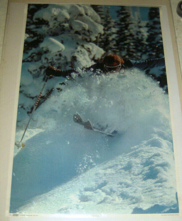 Wild Terrain Snow Factory Dahlquist #434 1977 Skiing Poster in Arts & Collectibles in St. Catharines
