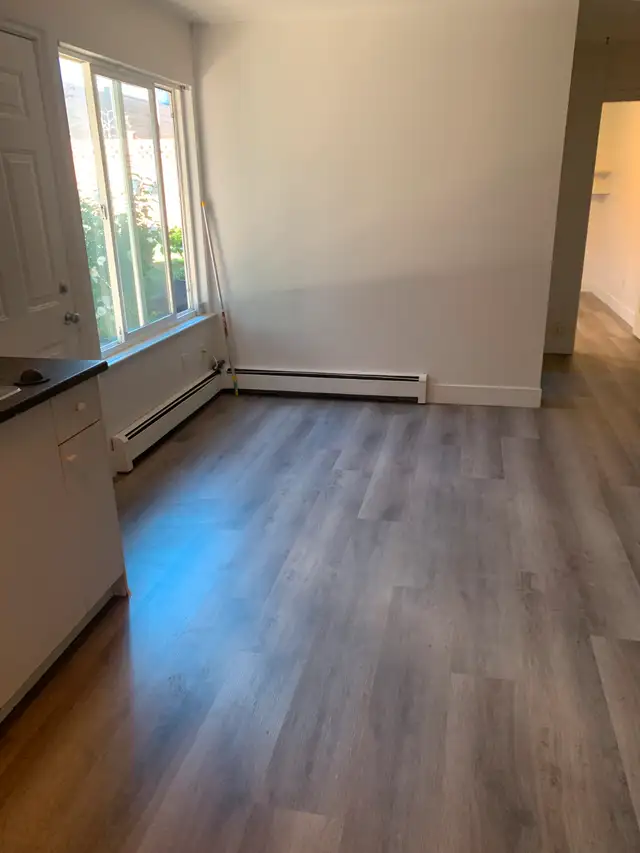 A BEAUTIFUL 2 BEDROOM SHARED BASEMENT FOR RENT in Room Rentals & Roommates in Delta/Surrey/Langley - Image 7