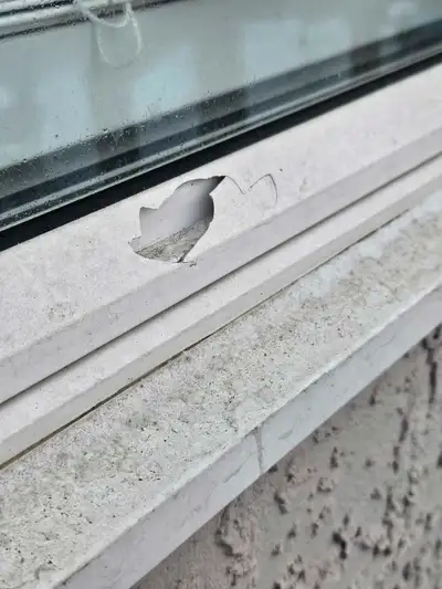 Window Vinyl Repair/ Glass & screen repair, View more