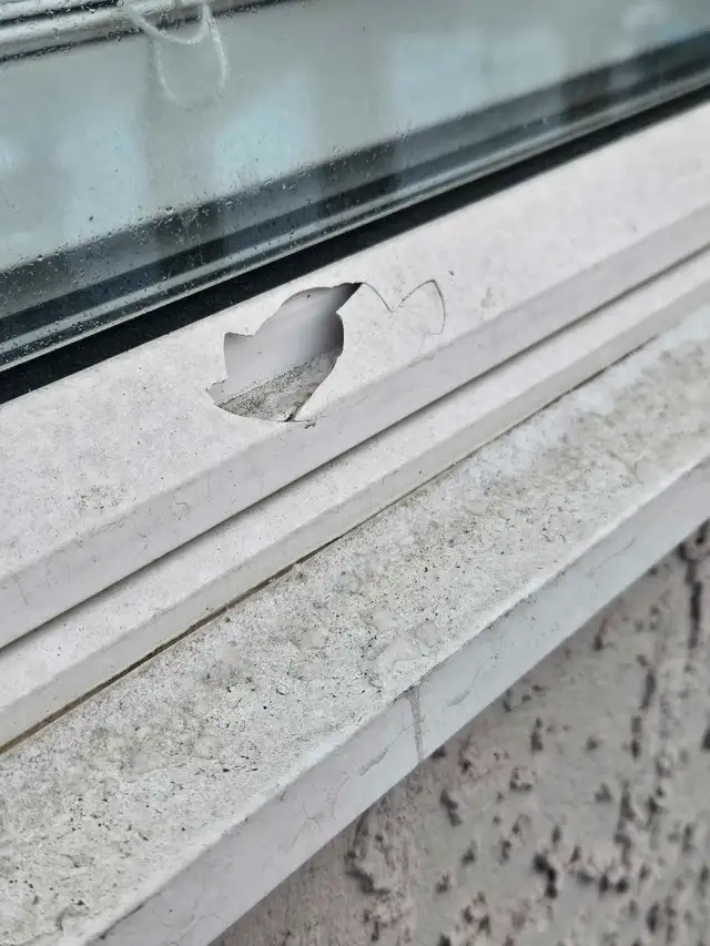 Window Vinyl Repair/ Glass & screen repair628647421341461224